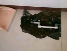 西充卫生间测漏水多少钱